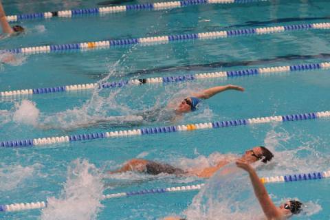 Rückenschwimmend im Wettkampf