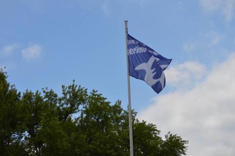 Haie-Fahne im Wind